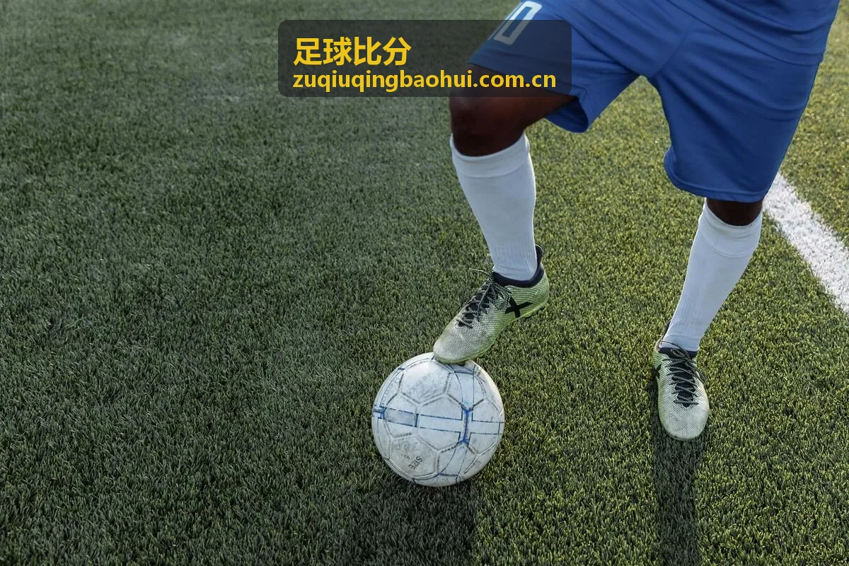 足球比分数据科学家李博士
